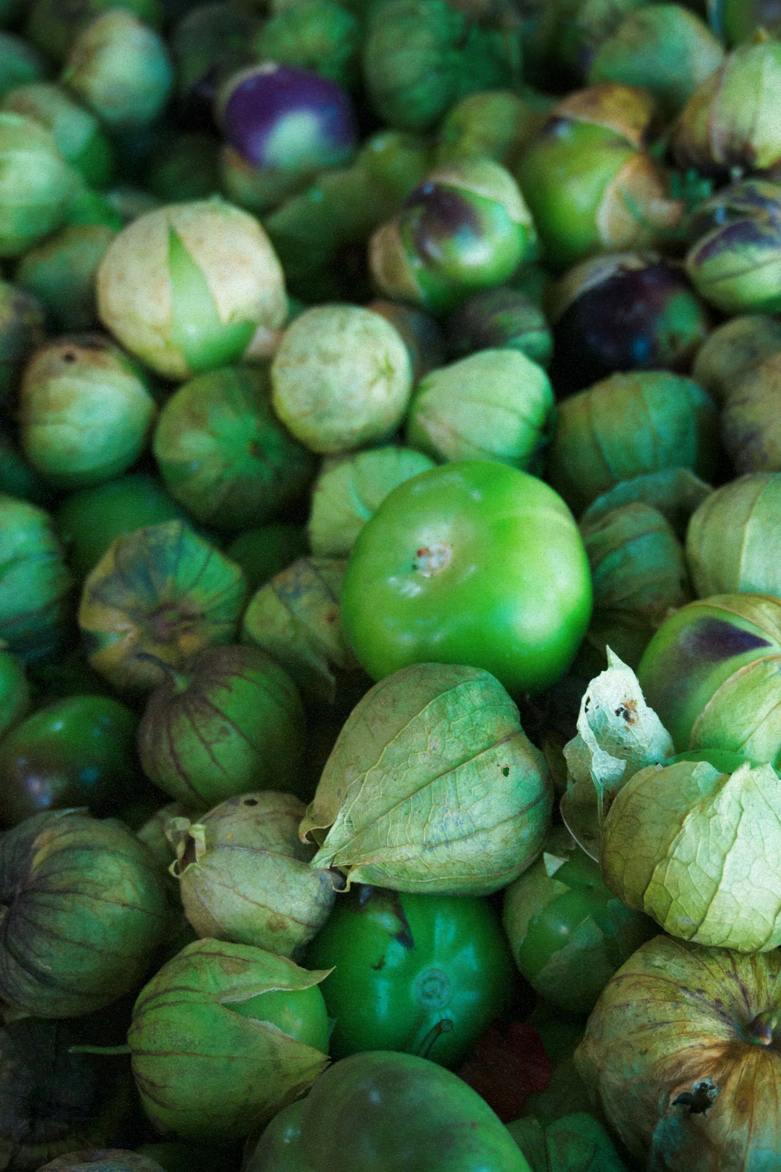 A pile of green and purple tomatillos at the market