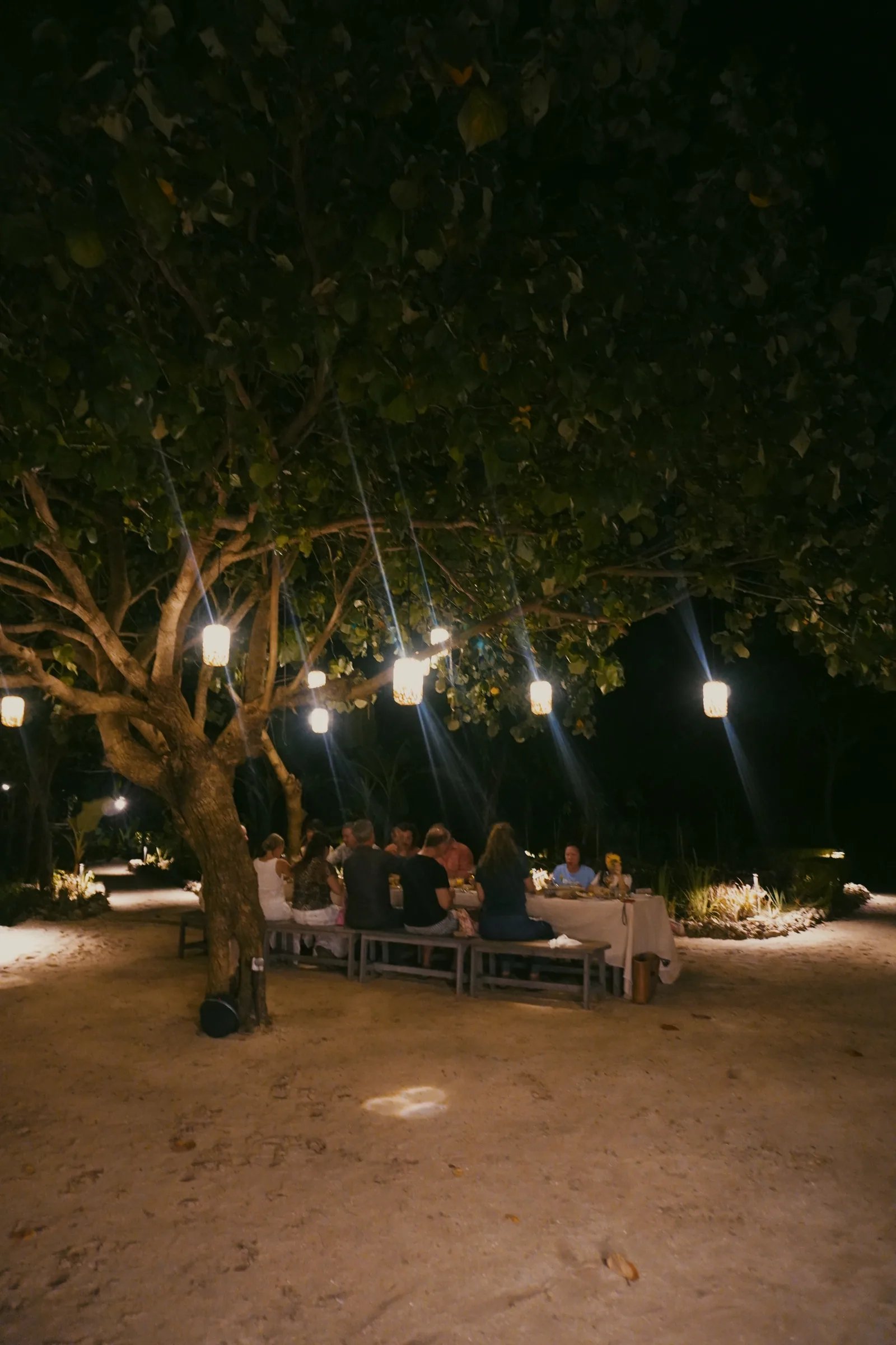 A dinner table under hanging lights and trees at Cap Karoso